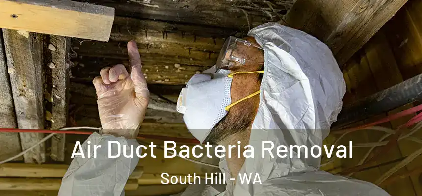  Air Duct Bacteria Removal South Hill - WA