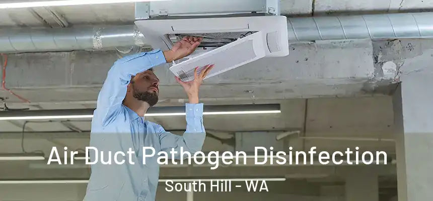  Air Duct Pathogen Disinfection South Hill - WA