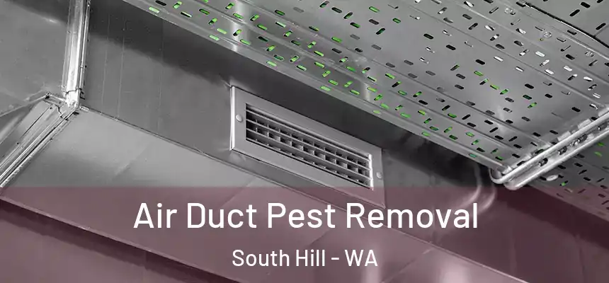 Air Duct Pest Removal South Hill - WA