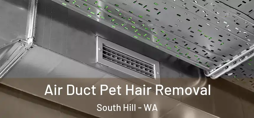  Air Duct Pet Hair Removal South Hill - WA