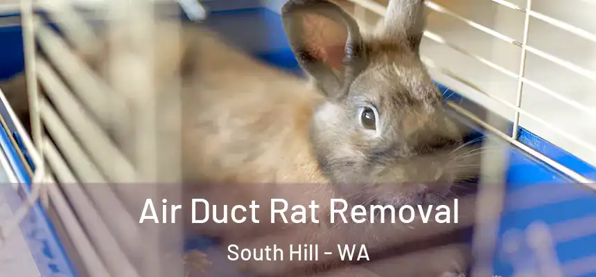 Air Duct Rat Removal South Hill - WA
