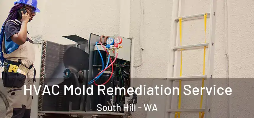  HVAC Mold Remediation Service South Hill - WA