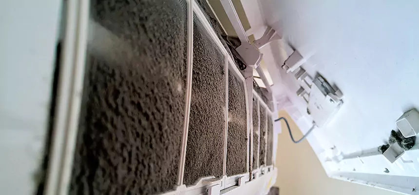 Preventive Air Duct Bacteria Removal in South Hill