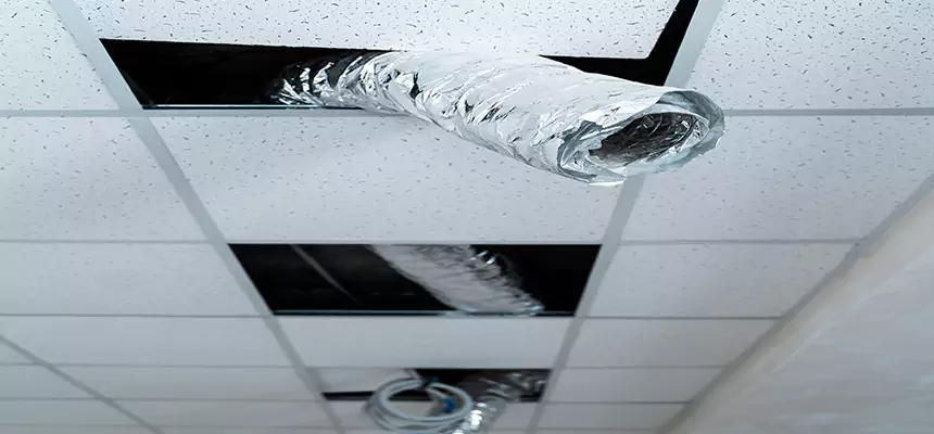 Affordable HVAC Sanitizing After Pest Removal in South Hill