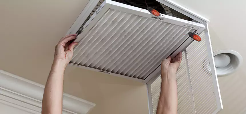 Our Insect Removal from Air Ducts Services in South Hill, WA