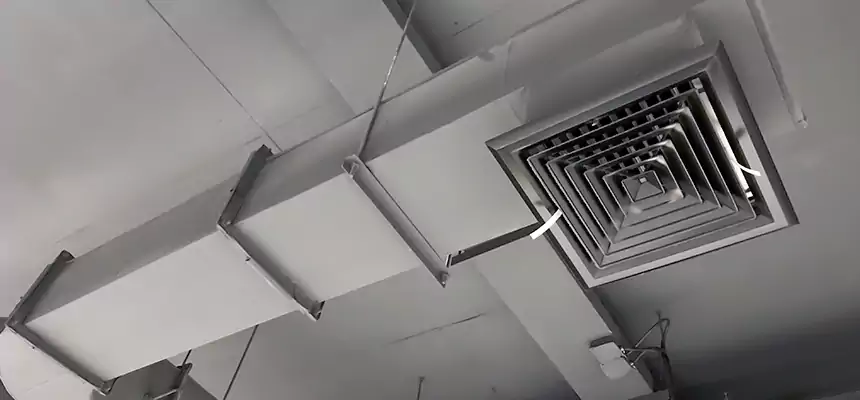 Our Pest Removal From Ducts Services in South Hill, WA