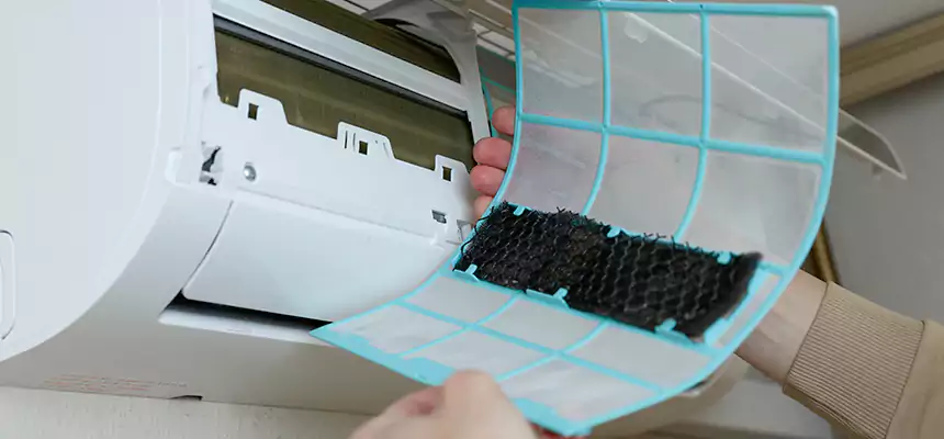 Gentle Ductwork Odor-Control Pet Dander Duct Cleaning in South Hill, WA