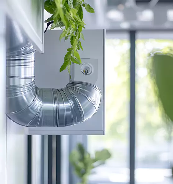 Professional Eco-Safe Dryer Vent Cleaning in South Hill, WA