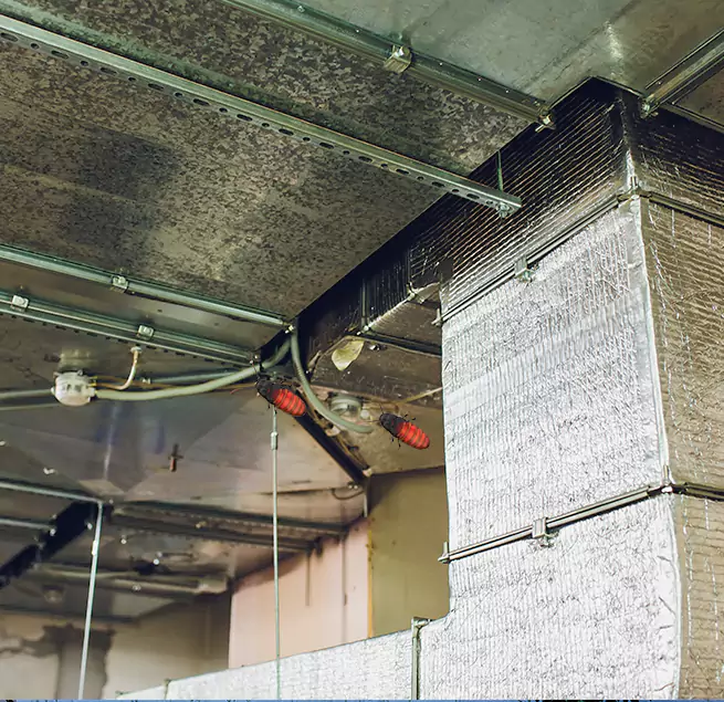 Why Homeowners & Businesses Trust Us in South Hill, WA?