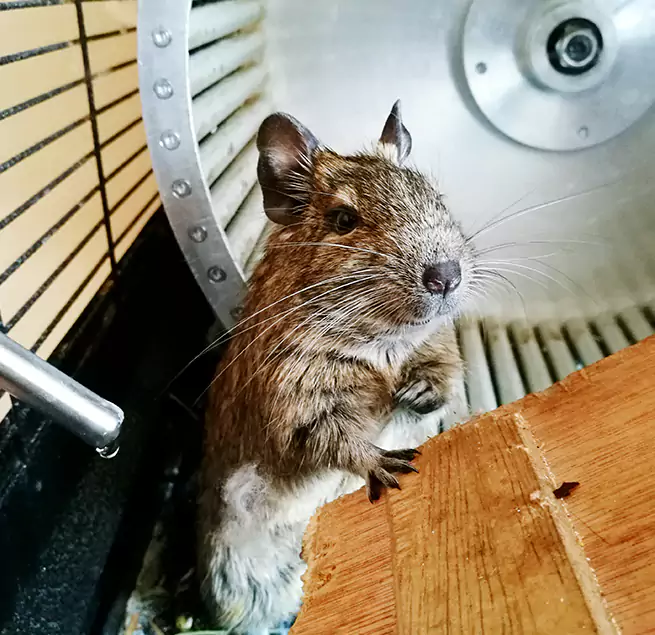 Why Homeowners & Businesses Trust Us South Hill, WA