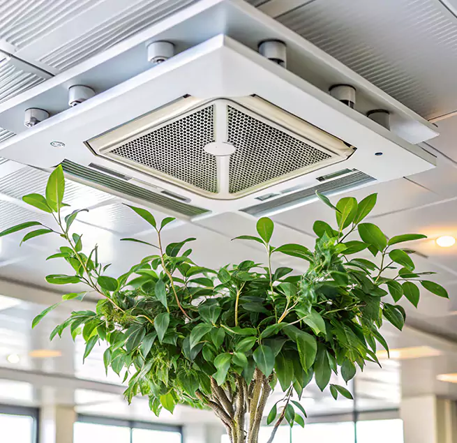 Why Homeowners & Businesses Trust Us in South Hill, WA?