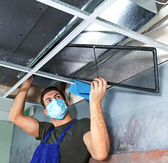 Why Homeowners Businesses Trust Us in South Hill, WA